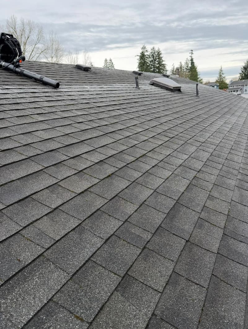 Clean shingles after soft-wash treatment